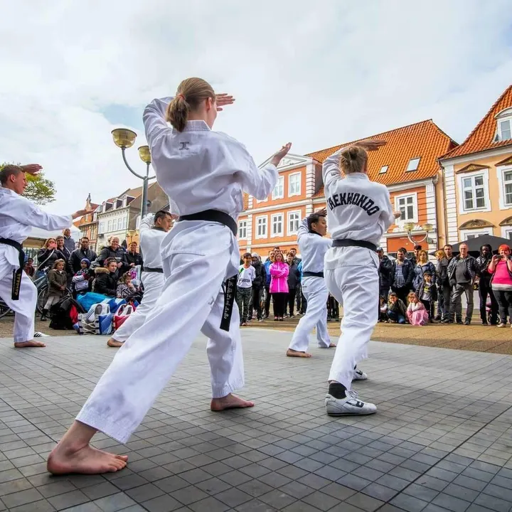 Arirang Taekwon Dojang, Horsens — kampsport-studio i Hammersholm, Horsens — 2