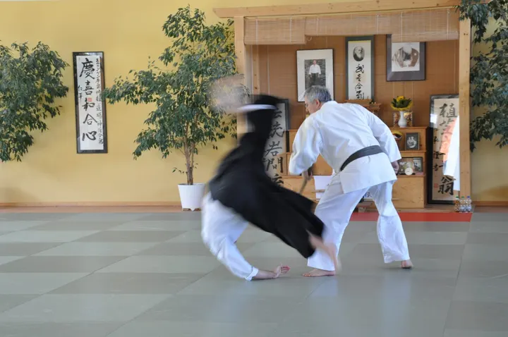 Takemusu-Aikido-Erlangen — Martial Arts in Röthelheimpark, Erlangen