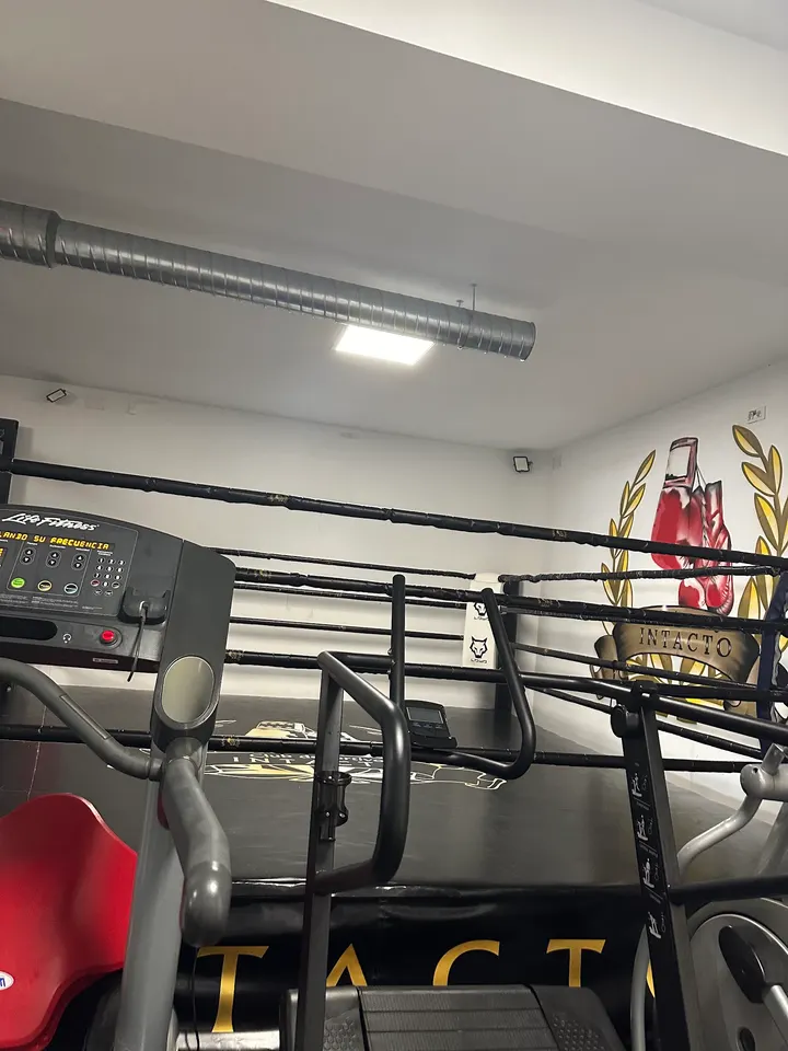 Club Deportivo Intacto — artes marciales-studio en Madrid — 5