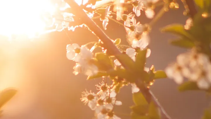 Nyvana — wellness-studio i Ljungarum, Jönköping — 3