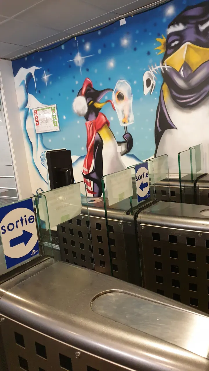 Le Dôme Centre Aquatique — salle de fitness-studio à Laon — 4