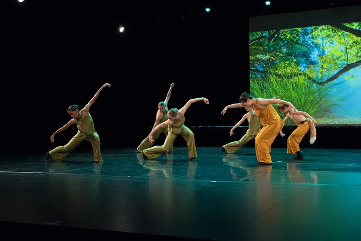 ADN Danse Centre Ville - La Fayette - Eblé — danse-studio à Angers — 3