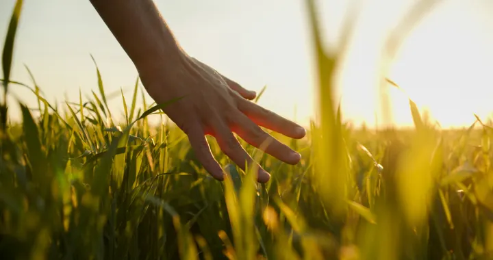 Source Yoga — yoga-studio in Llanddoged and Maenan, Llanrwst — 3