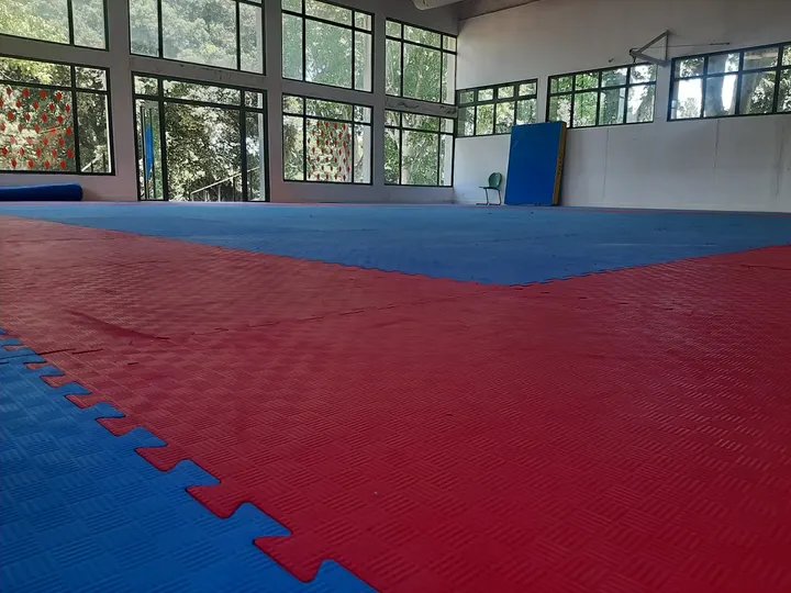 LE CERCLE DE TAEKWONDO DES ARCHERS — arts martiaux-studio à Paris 19e Arrondissement, Paris — 2