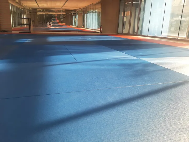 LE CERCLE DE TAEKWONDO DES ARCHERS — arts martiaux-studio à Paris 19e Arrondissement, Paris — 3
