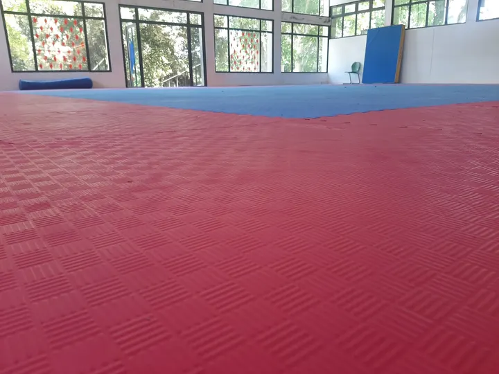 LE CERCLE DE TAEKWONDO DES ARCHERS — arts martiaux-studio à Paris — 5