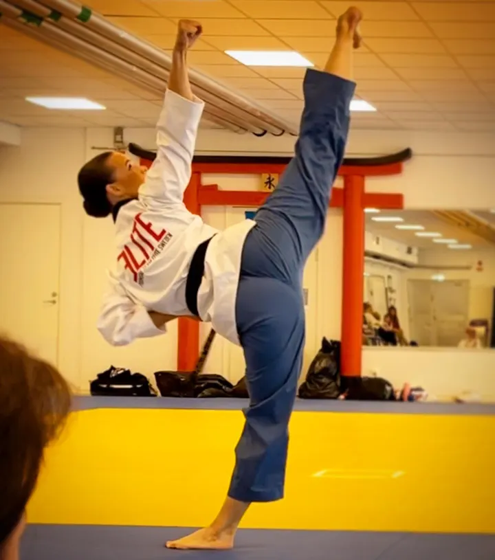 Mufasa Taekwondo — kampsport-studio i Höganäs — 3