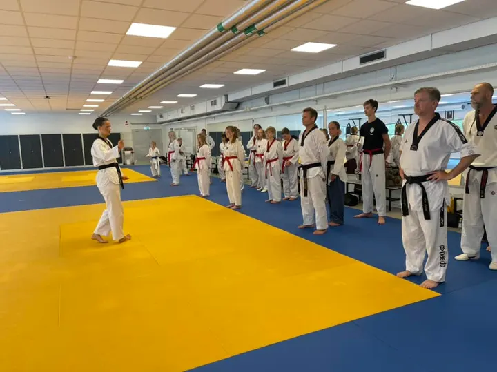 Mufasa Taekwondo — kampsport-studio i Höganäs — 3