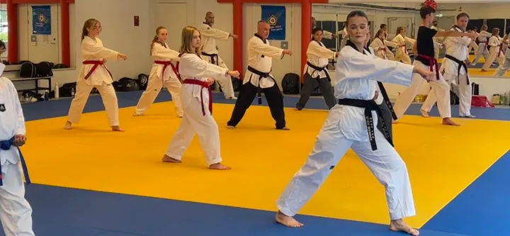 Mufasa Taekwondo — kampsport-studio i Höganäs — 5