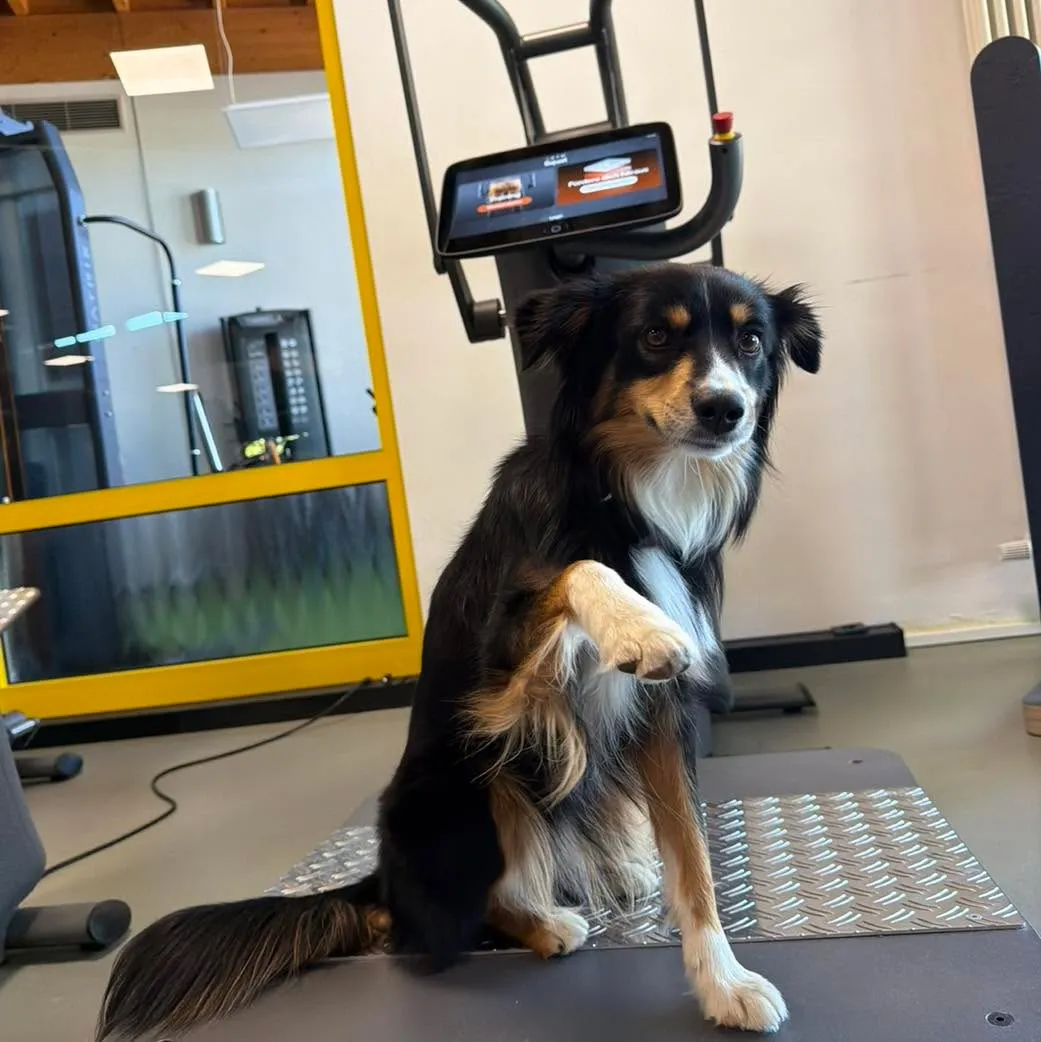 FusionFitness — träningsstudio i Bonn — 4