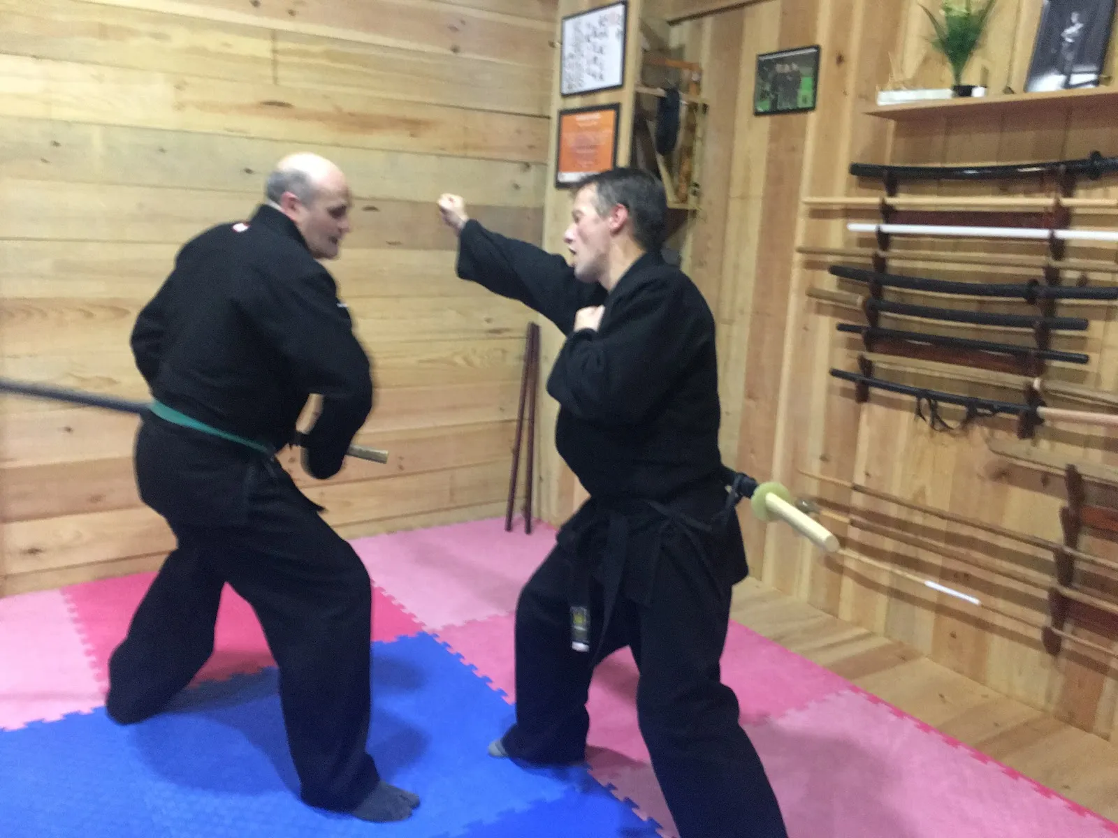 BUJINKAN DÔJÔ GIJÓN -ASTURIAS UMA RYU- — artes marciales-studio en Gijón — 3