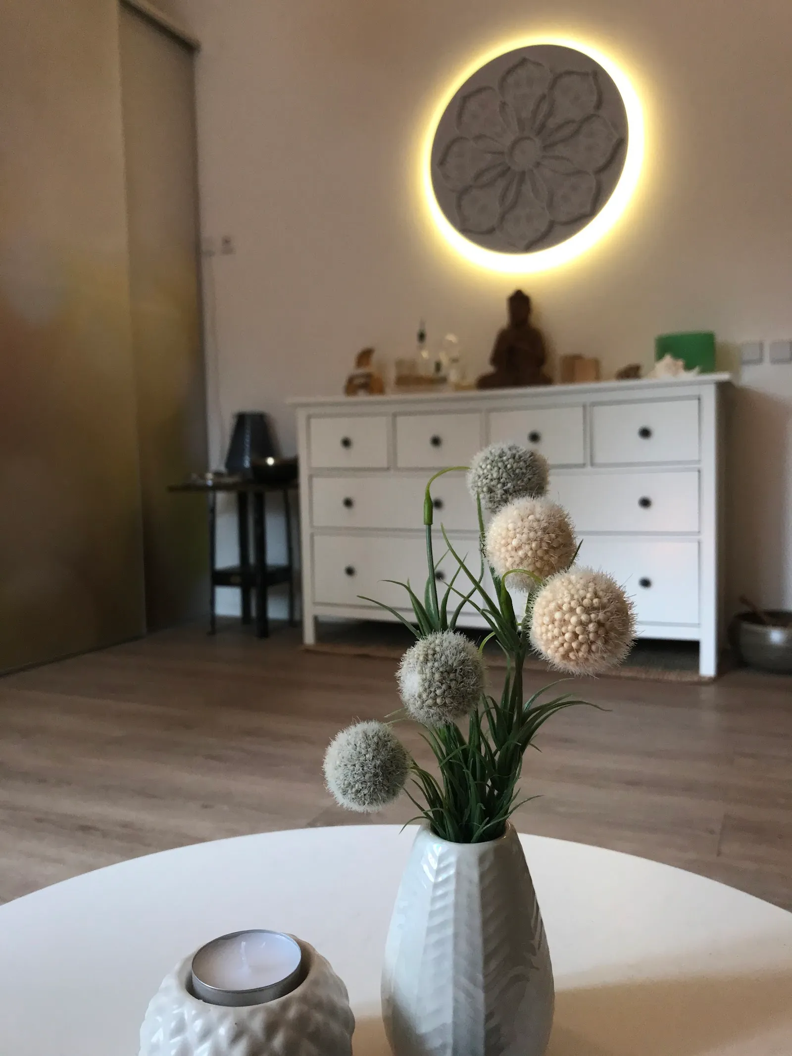 Dein Coach Madeleine Haseloff — pt-studio in Striesen-Ost, Dresden — 2