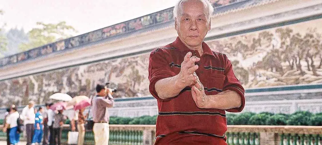 Lok Yiu Wing Chun Schule Köln Porz — kampsport-studio i Köln — 5