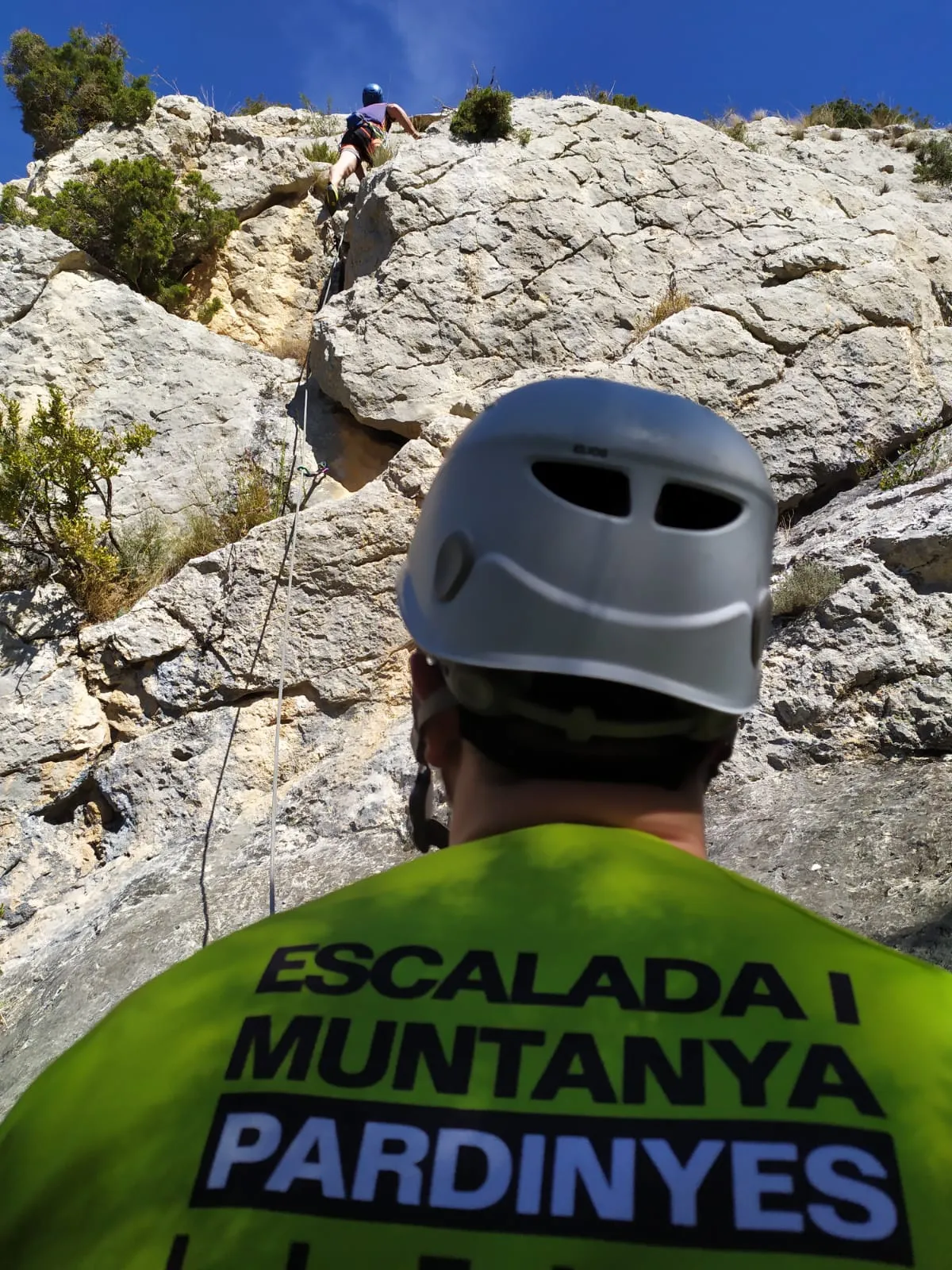 Club d'Escalada i Muntanya Pardinyes — escalada-studio en Lleida — 5
