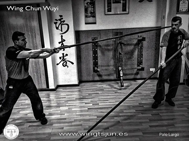 Wing Chun Wuyi - Alicante — artes marciales-studio en Alicante — 4