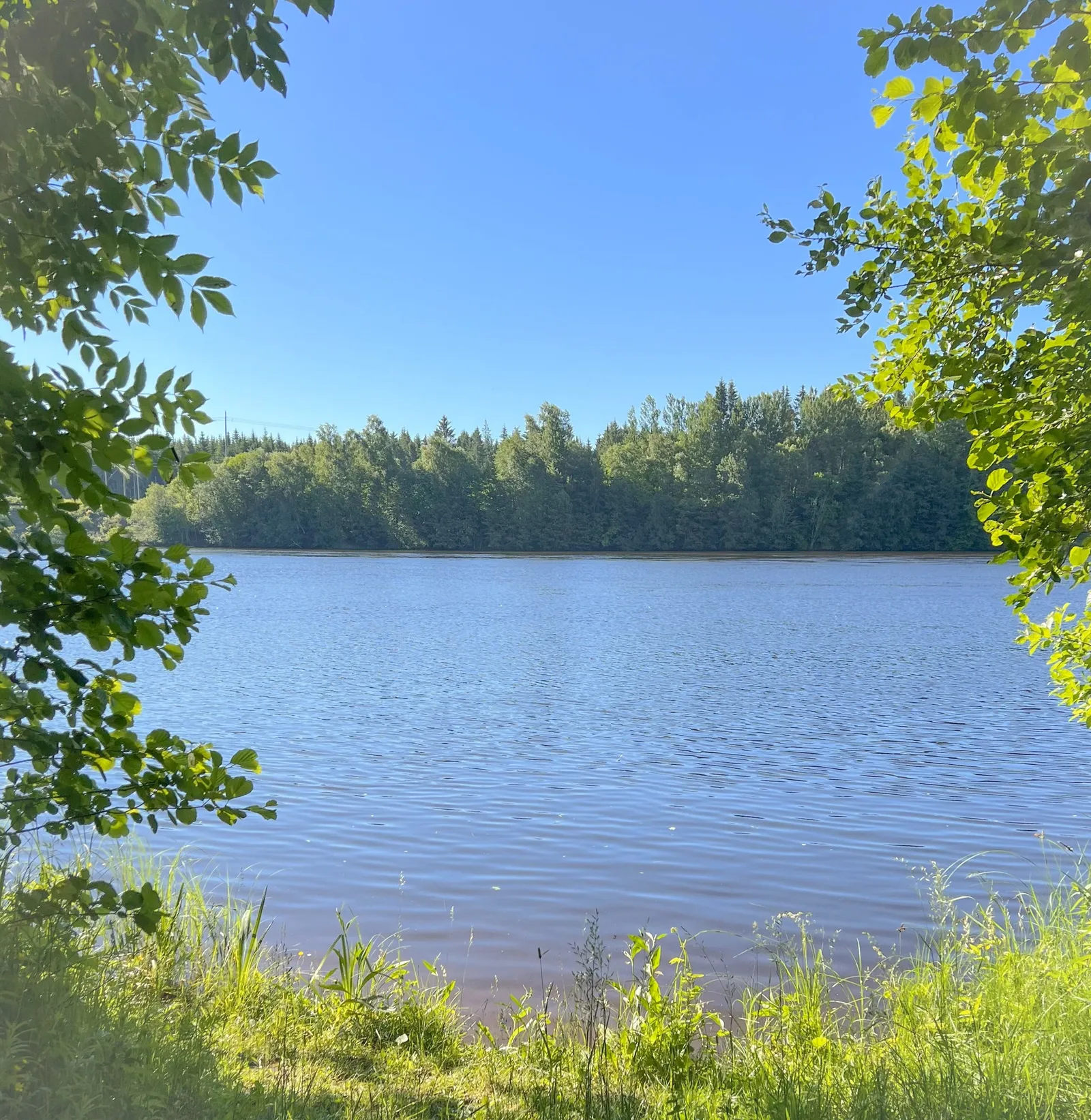 Allt i hälsa — studio-studio i Öråker, Kungsängen — bild 2