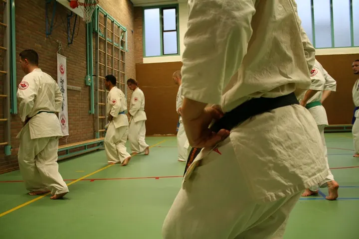 Karatevereniging Omegasport Dordrecht — Vechtsport in Stadswerven, Dordrecht