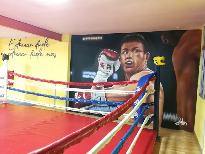 Escuela de Boxeo Nauzet — artes marciales-studio en Montaña San Francisco, Vecindario — 2