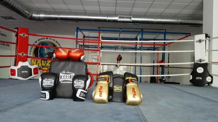 Escuela de Boxeo Nauzet — artes marciales-studio en Vecindario — 3