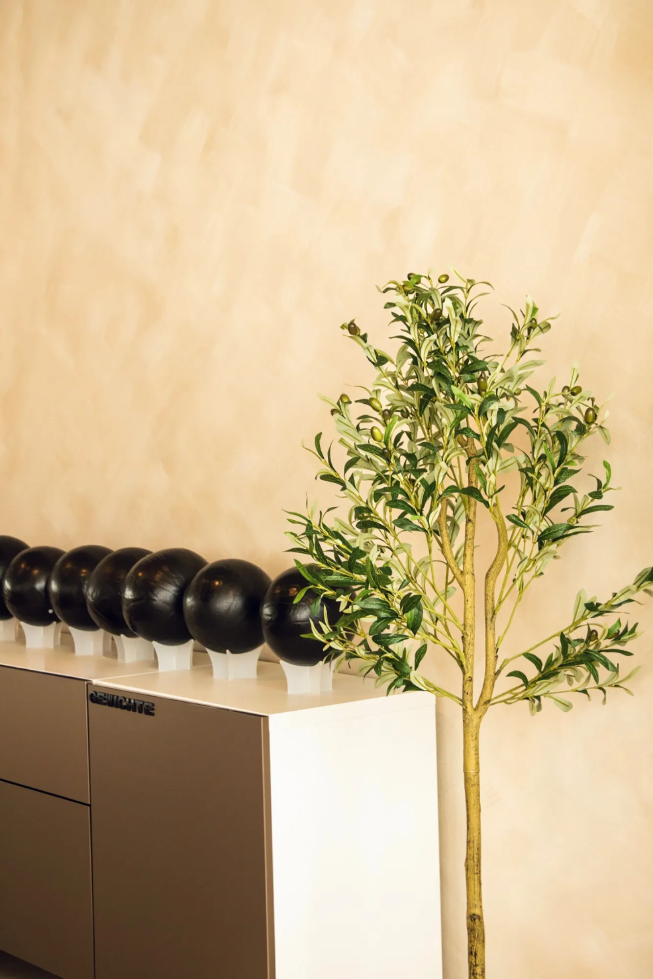 reformer.s women — pilates-studio i Karlsruhe — 4
