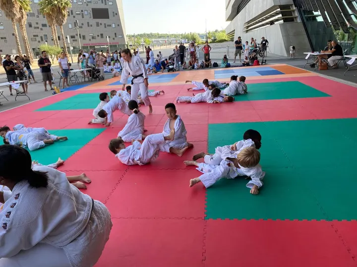 Jita Kyoei Av. de Barcelone — arts martiaux-studio à Montpellier — 3