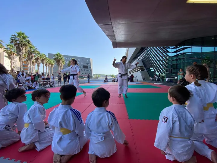 Jita Kyoei Av. de Barcelone — arts martiaux-studio à Montpellier — 4