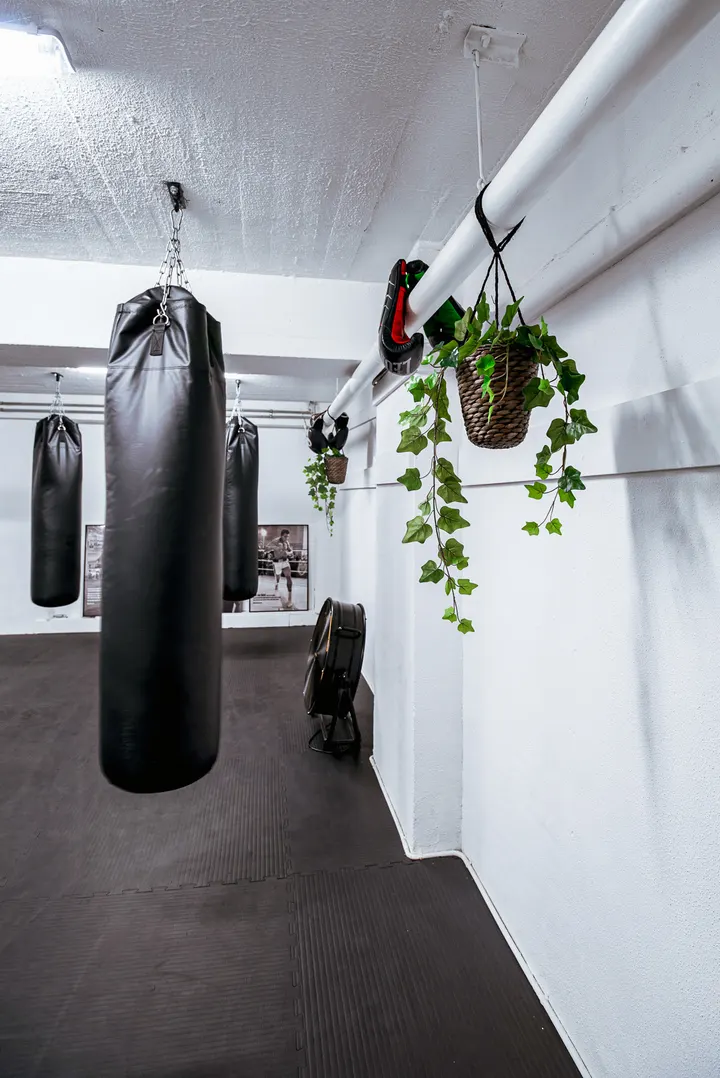 Bokslokaal — boksen-studio in Crooswijk, Rotterdam — 3