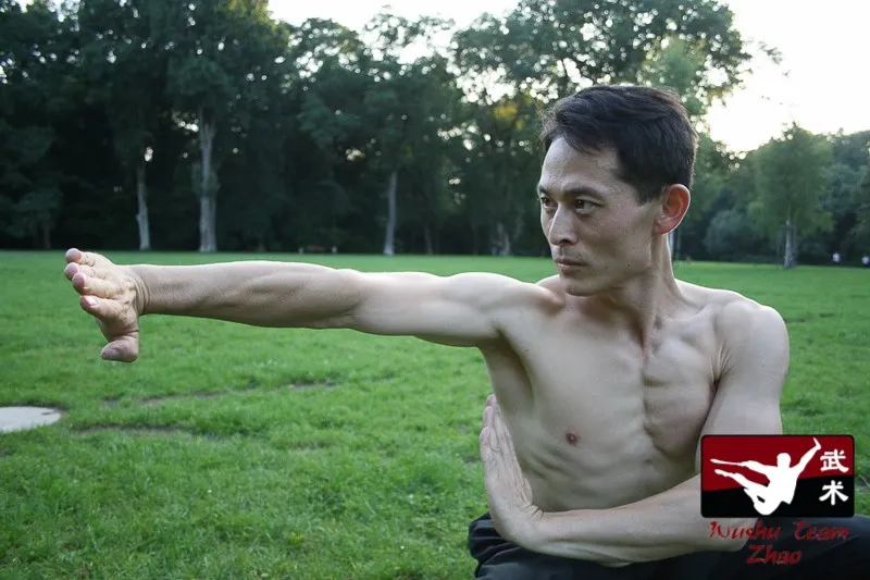 Wushu Team Zhao — kampfsport-studio in Oberneuland, Bremen — 2