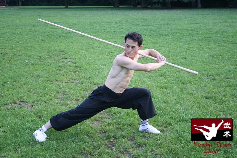 Wushu Team Zhao — kampfsport-studio in Oberneuland, Bremen — 3