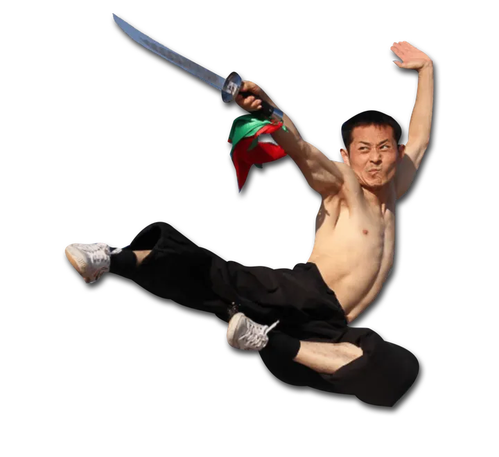 Wushu Team Zhao — Kampfsport in Oberneuland, Bremen