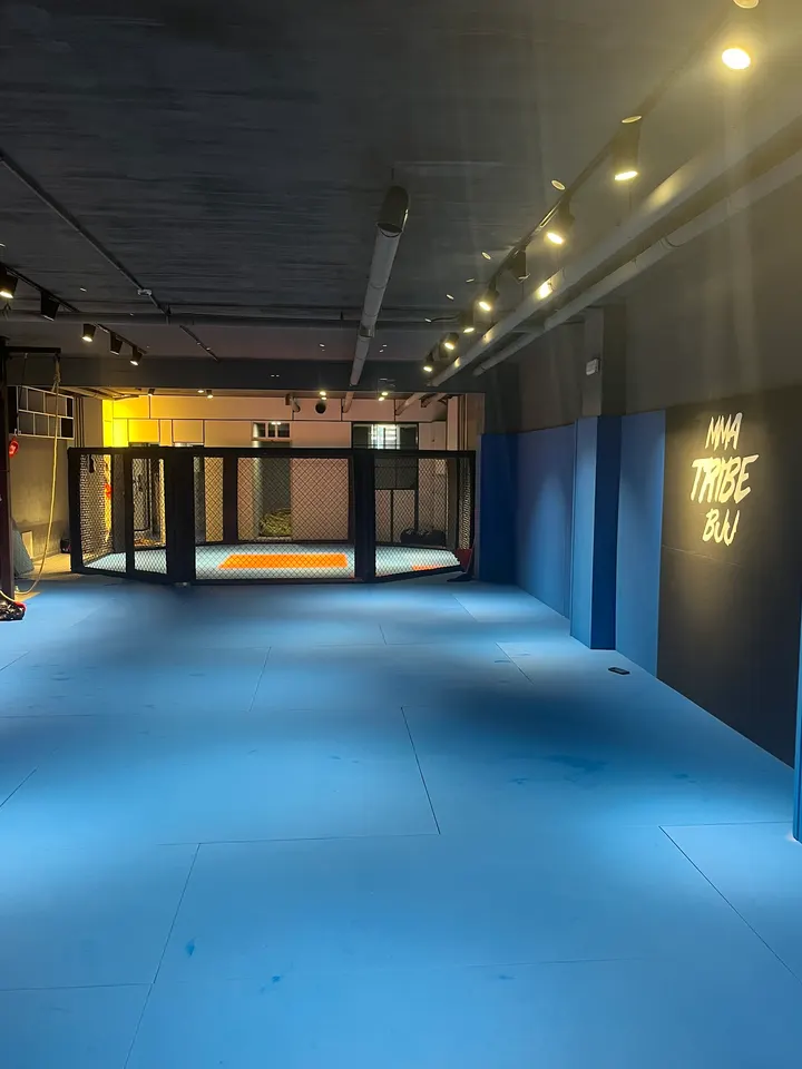 Brazilian Jiu Jitsu Academy — artes marciales-studio en La Puentecilla y Los Majuelos, Las Rozas de Madrid — 2