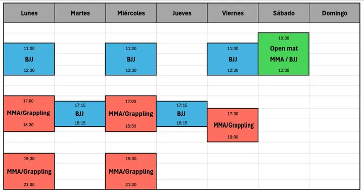 Brazilian Jiu Jitsu Academy — artes marciales-studio en Las Rozas de Madrid — 4