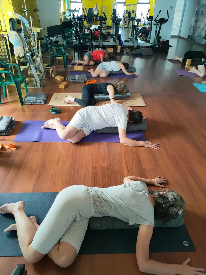 Dharma Yoga Salamanca — yoga-studio en Salamanca — 4