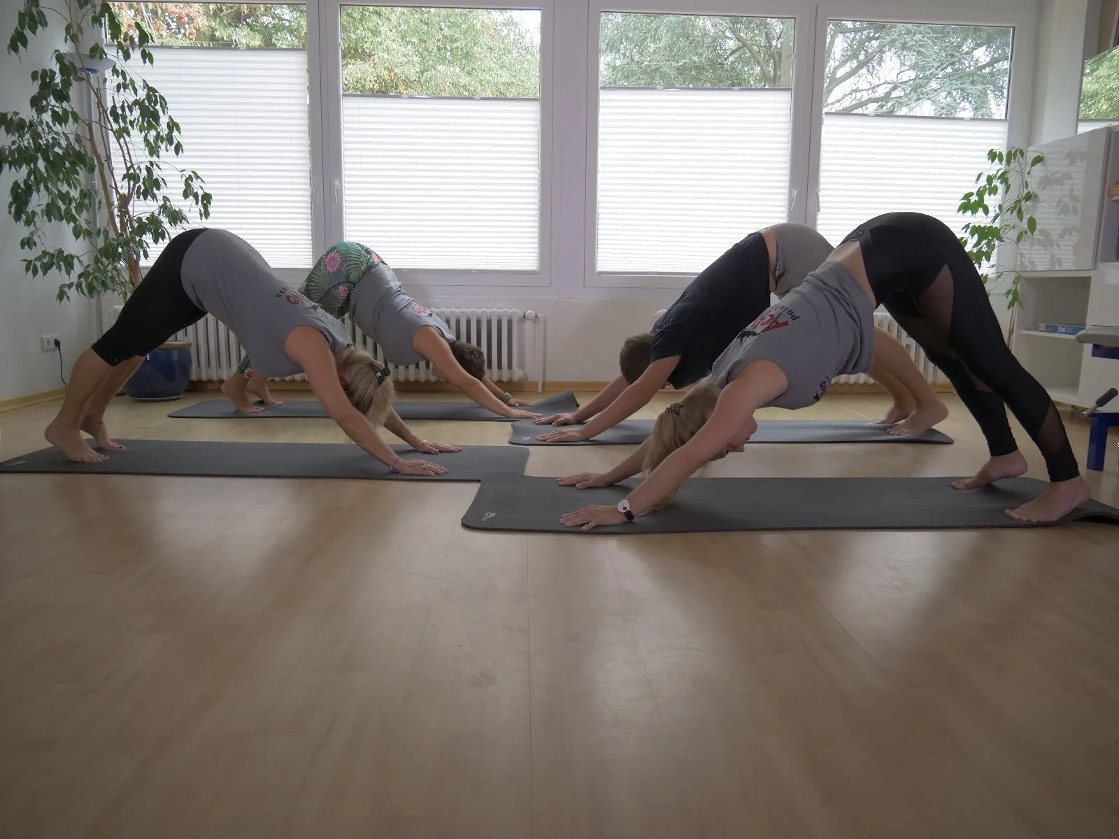 Activo GmbH Fitnesstraining — fitnessstudio in Bonn — 4