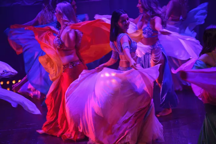 Layali Orientaliska Dansakademi AB — dance-studio in Stockholm — 4