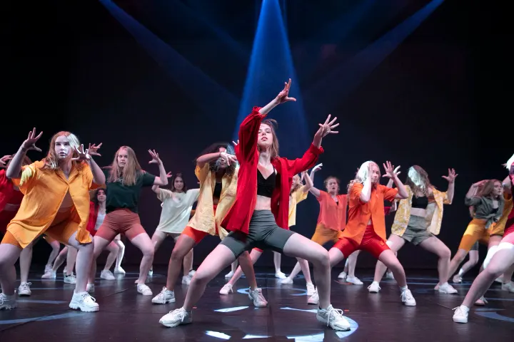 DANSEquilibrium Dance Center — dans-studio i Vejle — 3