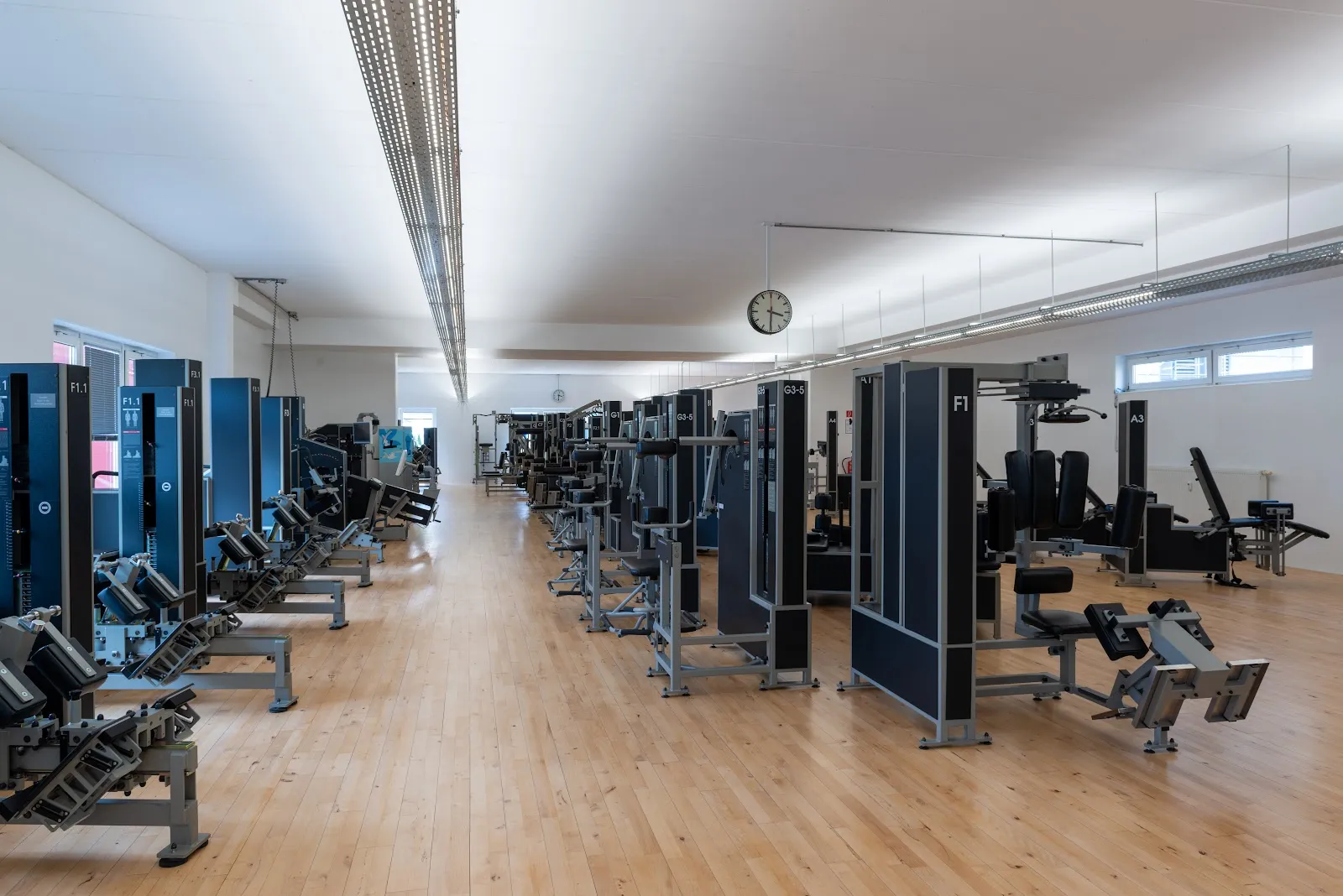 Gerber Training — krafttraining-studio in Weitmar, Bochum — 2