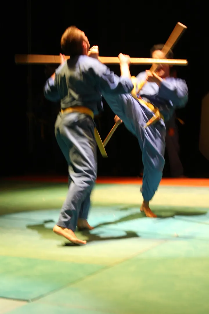 Vovinam Viet Vo Dao Coqs Rouges Bordeaux — arts martiaux-studio à Bordeaux — 5