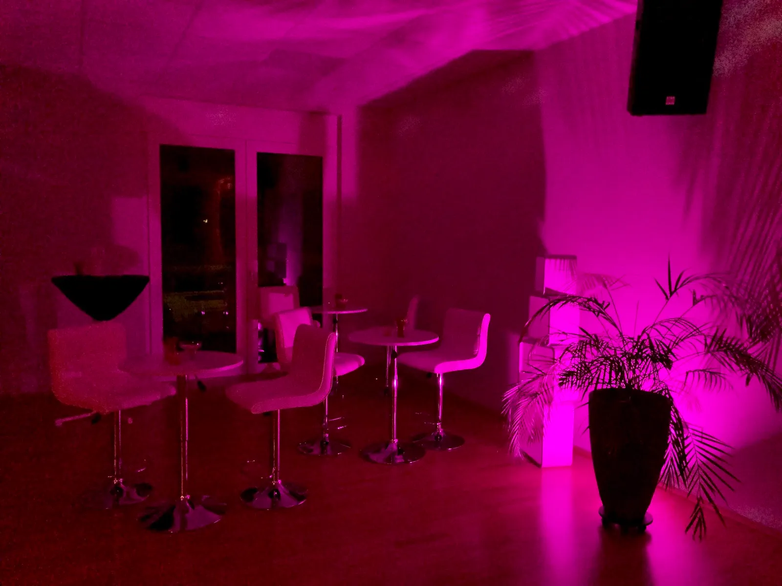 Tanzschule Tanzfee - Tanzkurse & Party - Event - Location — tanz-studio in Nordheim — 4
