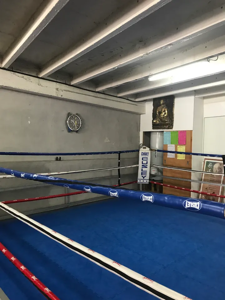 Royal Boxing Club — arts martiaux-studio à 8e Arrondissement, Marseille — 2