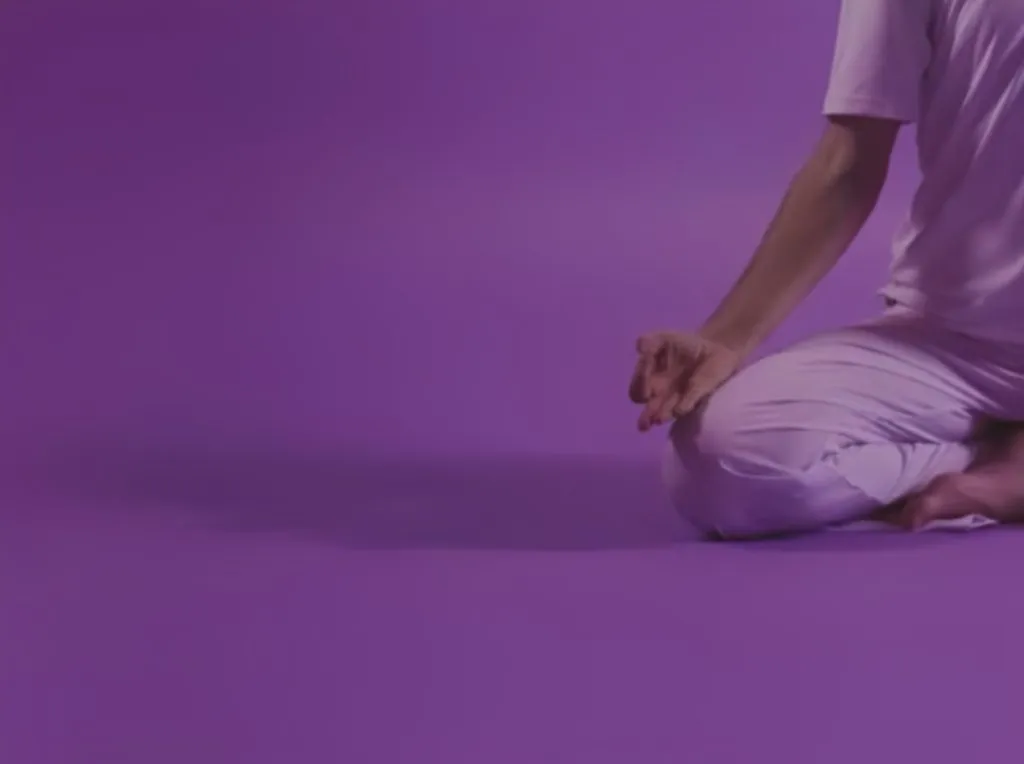 Hatha Yoga Shánkara — yoga-studio i Burgos — bild 3