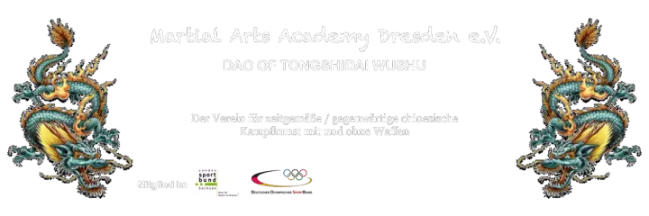 Martial Arts Academy Dresden e. V — Kampfsport in Striesen-West, Dresden