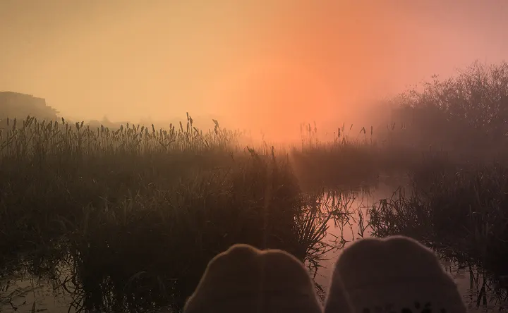 Yoga in Twilight — yoga-studio in Rustenburg, Wageningen — 2