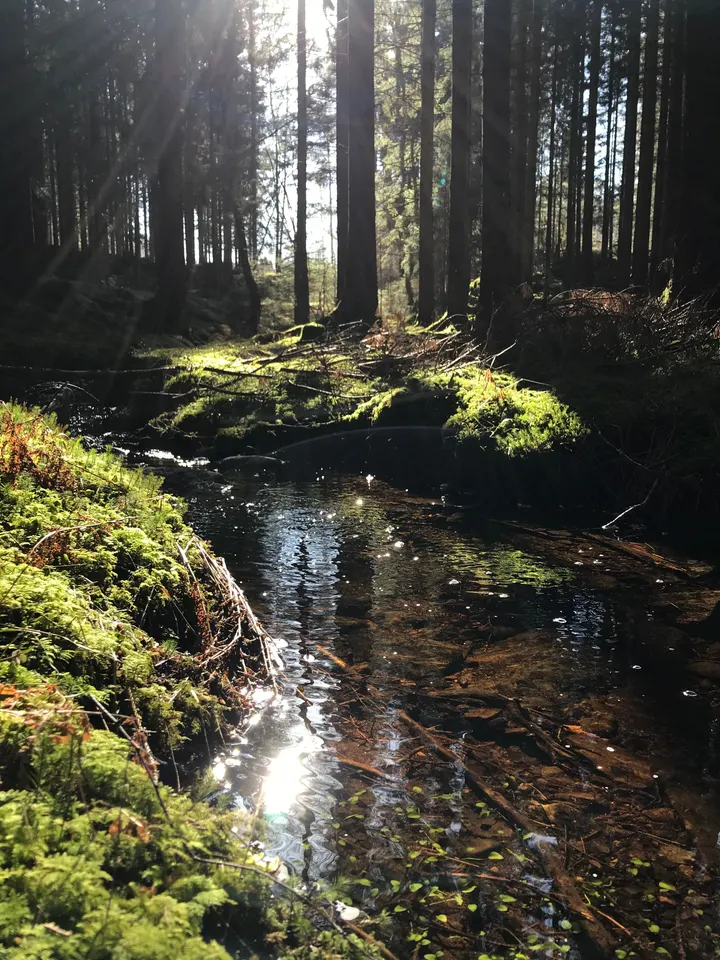AnneDisa — wellness-studio i Kungsbacka — 3