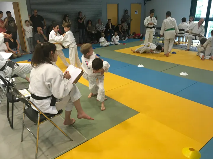 Avenir Judo 31 Faourette — arts martiaux-studio à Toulouse — 3