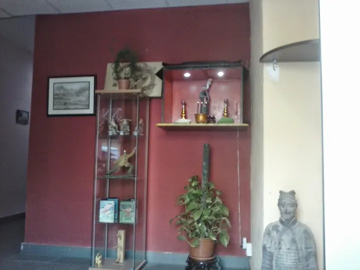 Shaolin Dragon — Artes marciales en El Cubo, Logroño