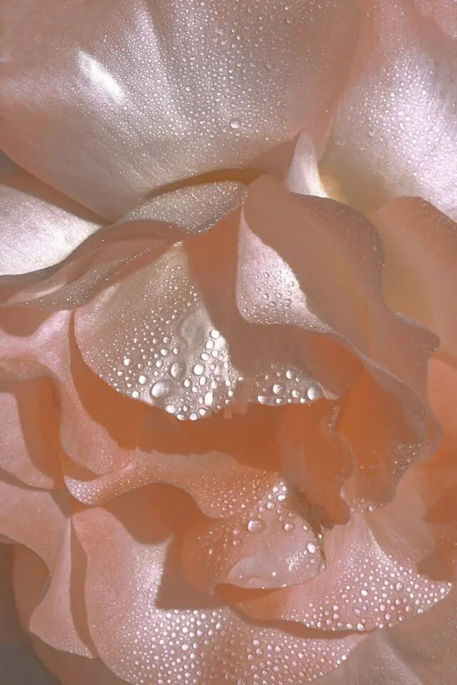 The Goddess Room — dans-studio in Noord, Rotterdam — 3