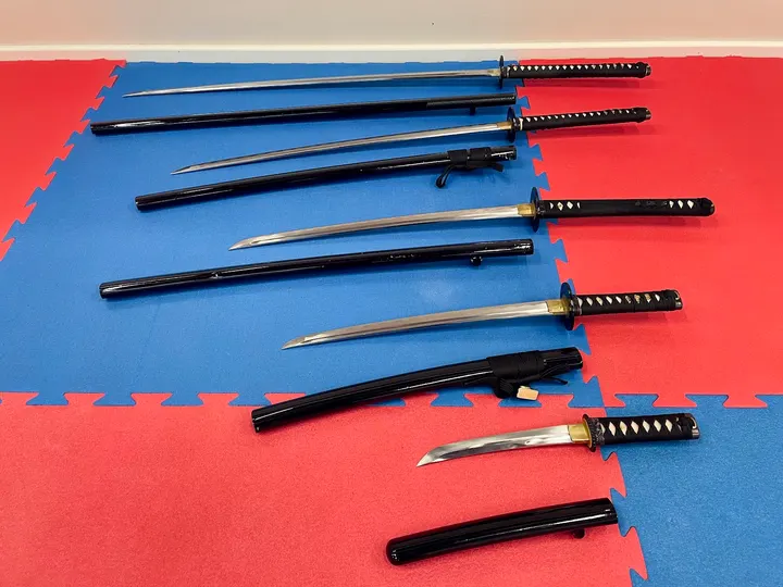 Bujinkan Tampere — Kamppailulajit – Hatanpää, Tampere