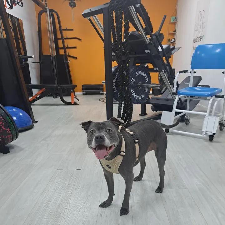 ForeverFit Private Personal Training — pt studio in Coventry — 5