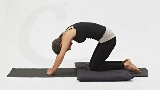 Cantienica® Studio Corinna Buchholz — pilates-studio i Berlin — 3